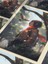 Mikasa Akerman - Attack On Titan - Anime & Manga Posterleri, Özel Tasarım Kağıt Poster 4