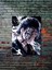 Suguru Geto - Jujutsu Kaisen, Anime - Manga Serisi, Özel Tasarım Kağıt Poster, Duvar Sanatı 1