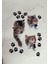 Kadın Kısa Kollu Kedi ve Pati Baskılı Süprem T-Shirt 4