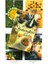 Herbcrafters Tarot Stili 78 Kart Cadılar Tarot Oracle Kartları Fal Eğlence Satranç ve Kart Oyunu Tarot ve Çeşitli Tarot Seçenekleri - (Yurt Dışından) 1