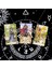 X293 Stili Her Gün Cadı Tarot Kartları ve Pdf Dijital Kılavuz Fal Kartları Eğlence Oyunu - (Yurt Dışından) 4