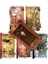 Madhouse Tarot Stili Kader Falı ve Çeşitli Tarot Seçenekleri Için Büyüsel Uyumlar Tarot Destesi - E-Ticaret Başlığı (Yurt Dışından) 4