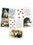 Mavi Stil Mavi Kuş Lenormand Oracle Kartları Aile Parti Eğlence Board Oyun Tarot ve Çeşitli Tarot Seçenekleri Pdf Rehberi (Yurt Dışından) 5
