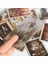Doğa Ruhu Stili Kuan Yards Tam Ingilizce Sürüm Pdf Rehber Kitap Fal Oyunları Için Oracle Destesi Kartı Tarot Wayta Oyunları Parti Oynaması Için Divinasyon Tahtı (Yurt Dışından) 3