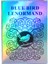 Bordo Tarzı Başlangıçlar Için Kart Falı Oyunu Blue Bird Lenormand Tarot Kartı Ingilizce Tarot Destesi Kart Oracle Kartı - Amaca Yönelik Tarot Kartı E-Ticaret Başlığı (Yurt Dışından) 3