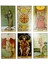 Kadınlar ve Kızlar Için Ingilizce Tarot Kartları Öncesinde Tarot Pdf Etkileşimli Oyunlar - E-Ticaret Başlığı (Yurt Dışından) 4