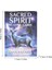 No.16 Tarzı 2021 Yeni Tarot Kutsal Ruh Okuma Kartları Tarot Destesi Oyun Tahtası Oracle Kartları Aile Parti Oyunu Oynama Kılavuzu Pdf Rehberi - (Yurt Dışından) 5