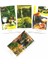 Dövme Tarot Stili 78 Kart Bitkibilimciler Tarot Kartları Oracle Eğlence Satranç ve Kart Oyunu Tarot ve Çeşitli Tarot Seçenekleri (Yurt Dışından) 4