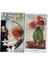 Altın Tarzı Rüya Way Tarot Kartları ve Evrensel Dansçı Oracle Tarot Fal Oyunu Destesi Oyunu (Yurt Dışından) 4