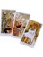 Altın Tarzı Rüya Way Tarot Kartları ve Evrensel Dansçı Oracle Tarot Fal Oyunu Destesi Oyunu (Yurt Dışından) 5