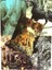 Erik Tarzı Senin Içindeki Büyü: Tarot Oracle Falı Eğlence Partileri Destesi Oyunu Tarot ve Çeşitli Tarot Seçenekleri Pdf Rehberi (Yurt Dışından) 4