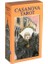 Turuncu Tarzı Yalnız Rüya Tarot Destesi Oracle Kartı Kader Falı Kehanet Oyunu Tarot ve Çeşitli Tarot Seçenekleri - (Yurt Dışından) 1