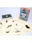 Lenormand Tarzı Edebi Cadılar Falcı Kartları Kehanet Oyunu Hediye Tahtası Astroloji Fal Büyü Malzemeleri (Yurt Dışından) 5
