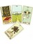 Yeşil Glifler Tarot Stili 36 Kart Perileri Şaşırtıcı Lenormand Oracle Kartları Falcılık Oyunu Tarot ve Çeşitli Tarot Seçenekleri (Yurt Dışından) 5