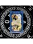 X56 Stili Her Gün Cadı Tarot Kartları ve Pdf Dijital Kılavuz Fal Kartları Eğlence Oyunu - (Yurt Dışından) 2