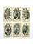 Yeşil Stil Dövme Tarot Destesi Oyun Eğlence Fal Oyun Kart Rehber Kitap Mistik Rehberlik Fal Eğlence Parti Masası Oyunu (Yurt Dışından) 4