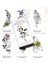 Yeşil Stil Yeni Tarot Cennet Yer Tarot Destesi Oracle Kartı Kader Falcılık Oyunu Tarot ve Çeşitli Tarot Seçenekleri (Yurt Dışından) 3