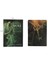 Melek Tarot Kartları Stili Büyücülük Sana Kılavuzluk Eden Oracle Kartları Oyunu Türkçe - Aile Eğlencesi ve Gelecek Tahmin Oyunu (Yurt Dışından) 3