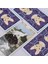 NO.100 Tarzı Pagan Kedi Tarotu Ingilizce Versiyonu Orakül Kehanet Kader Oyunu Destesi Tarot Masası Oyun Kartı ile Pdf Kılavuz Kitapçık (Yurt Dışından) 5