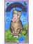 Rebel Oracle Deck Stili Işık Seer's Tarot Kartı Oracle Altın Art Nouveau Yeşil Cadı Evrensel Kelt Thelema Steampunk Tarot Oyunları Oyun Tahtası Güverte Oyunları (Yurt Dışından) 5