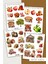 Elma Temalı Şeffaf Sticker Seti 01-02-03-04 Ajanda Planlayıcı Bullet Journal Için Uygundur 1