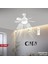 Karayel Fan 82W LED Ampul Dimmerli 2