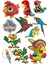 Papağan Sticker Set-1 12 Parça Telefon, Tablet, Defter, Laptop Sticker 1