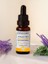 Auraliv Karışım Aromatik Yağ 20 ml 2