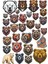 Kızgın Ayı Sticker Set 1 1