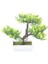 Yapay Bitkiler Bonsai Küçük Ağaç Saksı Sahte Bitki Çiçekleri Saksı Sahte Bonsai Ev Odası Masa Otel Bahçe Dekor E (Yurt Dışından) 1