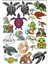 Kaplumbağa Sticker Set 2 1