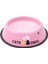 Renkli Metal Mama Kabı, Kedi Köpek Mama Su Kabı 18 cm 2
