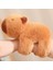 Kapibara Papa Daire Bebek Bileklik Peluş Oyuncak Kapibara Bebek (Yurt Dışından) 1