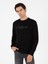 Erkek Siyah Regular Fit Bisiklet Yaka Pamuklu Sweatshirt 50296883-VR046 1