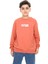 Erkek Çocuk Baskılı Sweatshirt 4