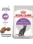 Fhn Sterilised Kuru Kedi Maması 15 Kg 2