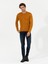 Erkek Sarı Slim Fit Bisiklet Yaka Triko Kazak 50258846-VR044 4