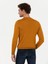 Erkek Sarı Slim Fit Bisiklet Yaka Triko Kazak 50258846-VR044 5
