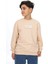 Erkek Çocuk Baskılı Sweatshirt 3