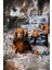 Deve Kuşu Etli & Kuzu Etli Tahılsız Küçük Irk Köpek için Kuru Mama 6 kg 4
