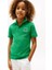 Erkek Çocuk Th Bayrak Logo Polo T-Shirt - Yeşil 1