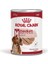 Medium Loaf Mousse Orta Irk Ezme Yetişkin Köpek Konservesi 410GR x 6 Adet 1