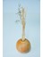 110 ml Yuvarlak Masif Ahşap Dark Wood Oda Kokusu 2