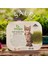 6 Çeşit Kedi Otu Mix Karışım Kedi Çimi 100 gr 3