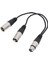 Xlr Ayırıcı Kablo 3pin Xlr Dişi - Çift Xlr Erkek Y Kablosu Tak ve Çalıştır Stüdyo Sahne Mikseri Amplifikatörleri Için 1 Adet (Yurt Dışından) 3