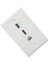 Hd Multimedya Arayüzü Duvar Plakası Lehimsiz Cat6 Usb3.0 Hd Multimedya Arayüzü 3 Portlu Duvar Plakası Çıkışı (Yurt Dışından) 5