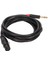 Xlr Dişi - 1/4 Inç 6,35 mm Kablo Profesyonel Tak ve Çalıştır 20 Awg Ofc Çekirdek Mikrofon Kablosu 9,8 Ft (Yurt Dışından) 3
