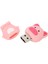 Karikatür Hayvan Şekilli USB Bellek Ev Ofis Sevimli USB Flash Sürücü Veri Depolama Için 16GB (Yurt Dışından) 5