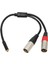 3,5 mm 1/8 Ila Xlr Mikrofon Kablosu Profesyonel Dengeli Çift Xlr Erkek Ila 3,5 mm Dişi Stereo Kablo 1,0 Ft (Yurt Dışından) 1