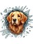 Fulcar Golden Araç Stickerı 3